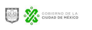 Logo-cdmx 1